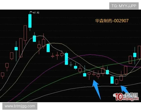 武汉羽毛球队灵活性分析与战术创新的深度探讨 武汉羽毛球队灵活性分析与战术创新的深度探讨