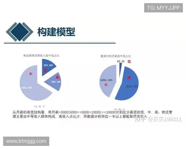 武汉羽毛球队战术表现深度解析与数据分析探讨 武汉羽毛球队战术表现深度解析与数据分析探讨