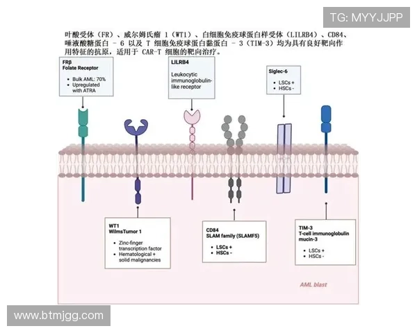 武汉羽毛球队阵地战解析:背后的策略与挑战 武汉羽毛球队阵地战解析:背后的策略与挑战