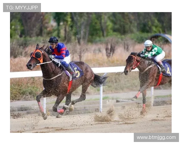武汉羽毛球队选拔赛表现分析:速度与技巧的完美结合 武汉羽毛球队选拔赛表现分析:速度与技巧的完美结合